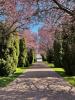 Vente Maison Boissy-fresnoy 9 pieces 191 m2