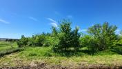 Vente Terrain Belvezet LA-BRUGUIARE