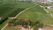 Vente Terrain Bergheim