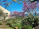 Vente Maison Sete 7 pieces 155 m2