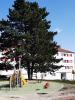 Location Appartement Hericourt  4 pieces 77 m2