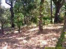 Vente Terrain Mayons  1200 m2