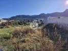 Vente Terrain Figari  493 m2