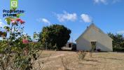 Viager Maison Saint-nicolas-de-bourgueil  4 pieces 75 m2