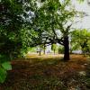 Vente Terrain Saint-julien-l'ars  834 m2