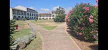 Vente Appartement Canale-di-verde BRAVONE 3 pieces 40 m2