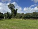 Vente Terrain Auray  780 m2