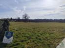 Vente Terrain Saint-junien  32767 m2