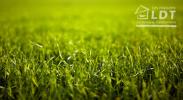 Vente Terrain Vaucourtois  528 m2