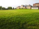 Vente Terrain Yerres  500 m2