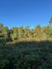 Vente Terrain Brede  830 m2