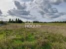 Vente Terrain Moneteau  851 m2