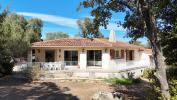 Vente Maison Sotta  6 pieces 145 m2
