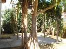 Location Maison Possession  99 m2