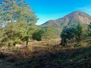 Vente Terrain Savoillan 