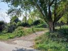 Vente Terrain Ceret  1968 m2