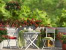 Vente Appartement Plessis-bouchard  3 pieces 62 m2