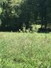 Vente Terrain Malemort-sur-correze  1820 m2