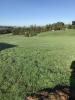 Vente Terrain Malemort-sur-correze  1500 m2