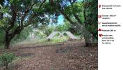 Vente Terrain Etang-sale  846 m2