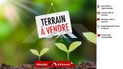 Vente Terrain Saint-pierre  760 m2