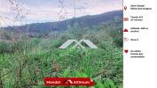 Vente Terrain Saint-joseph  441 m2