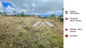 Vente Terrain Petite-ile  558 m2