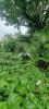 Vente Terrain Saint-joseph  533 m2