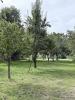 Vente Terrain Ploermel  1300 m2