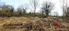 Vente Terrain Soignolles-en-brie  603 m2