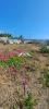 Vente Terrain Trois-bassins  605 m2