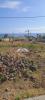Vente Terrain Trois-bassins  443 m2