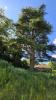 Vente Terrain Vouneuil-sous-biard  2372 m2