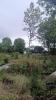 Vente Terrain Royat 