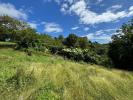 Vente Terrain Gosier  1000 m2