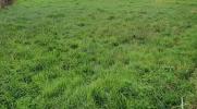 Vente Terrain Blanquefort  409 m2