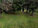 Vente Terrain Baron  1000 m2