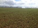 Vente Terrain Saint-martin-de-fontenay  311 m2