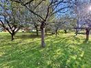Vente Terrain Bazas 