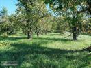 Vente Terrain Saint-vincent-rive-d'olt  1628 m2