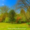 Vente Terrain Teste-de-buch 790 m2