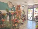 Vente Local commercial Saint-chinian 