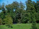 Vente Appartement Divonne-les-bains 2 pieces 55 m2