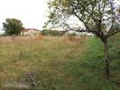Vente Terrain Calamane 1714 m2
