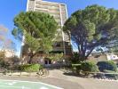 Location Appartement Avignon 3 pieces 50 m2