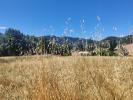 Vente Terrain Buis-les-baronnies 888 m2