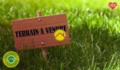 Vente Terrain Nancay 18330 1967 m2