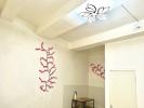Vente Maison Montpellier ECUSSON CENTRE VILLE 24 m2