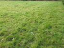 Vente Terrain Damgan 580 m2
