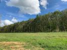 Vente Terrain Offemont 915 m2